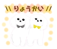 566848247