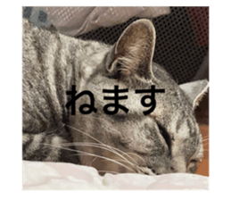 566857607