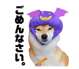 566868911