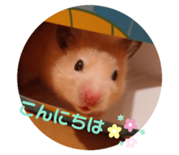 566883395