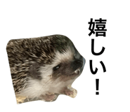566949916