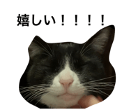 566949940