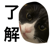 566949942