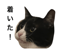 566949946