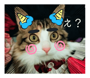 566956456