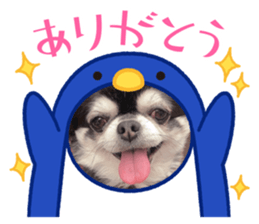 567018363