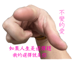 567023529