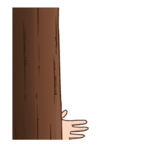 567049904