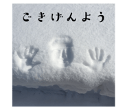 567097018