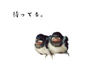 567097020