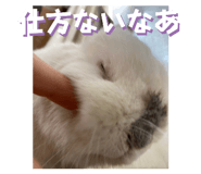 567176170
