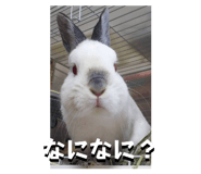 567176174