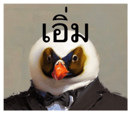 567184501