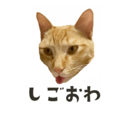 567191889