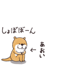 56720581