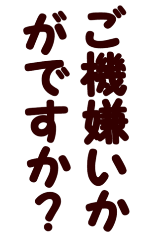 567213809