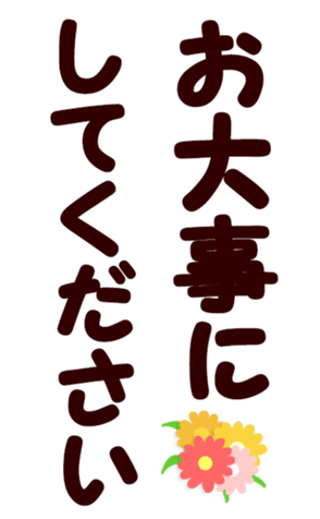 567213811