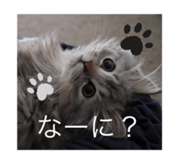 567302630