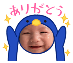 567345081