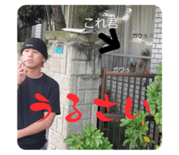 567347588