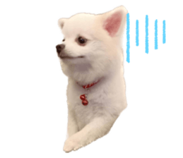 567348780