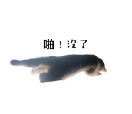 567365899