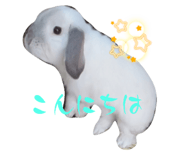 567379584