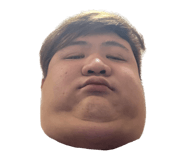 567381296