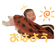 567460118
