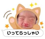 567511738