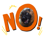 567565922