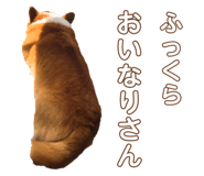 567584334