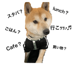 567620004