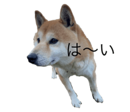 567620006