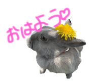 567620190