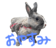 567620191