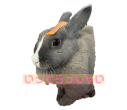 567620192