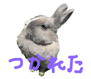 567620193