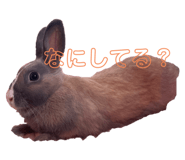 567620195