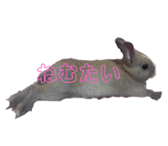 567620196