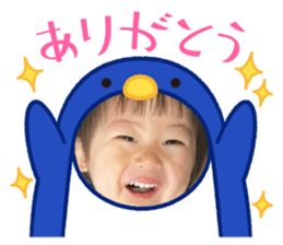 567638300