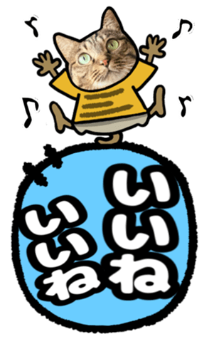 567643529