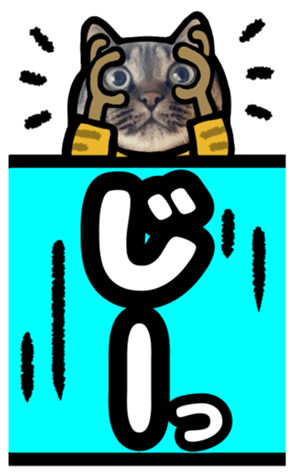 567643531