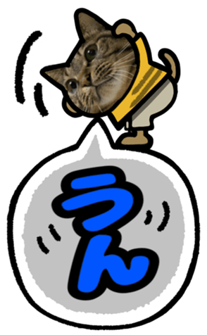 567643532