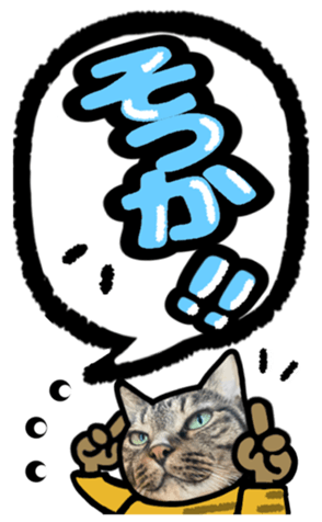 567643535