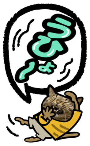 567643536