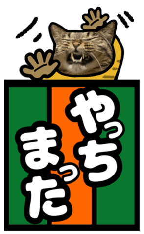 567643537