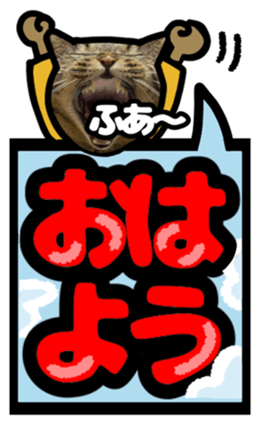 567643539