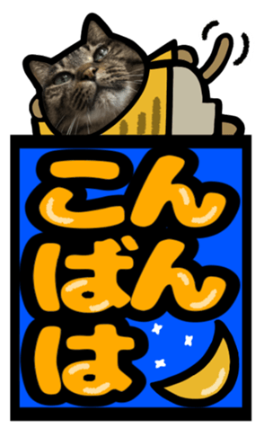 567643541