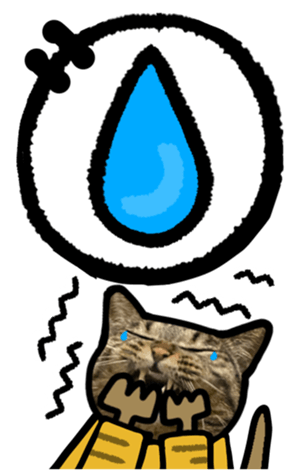 567643545